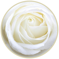 resized10