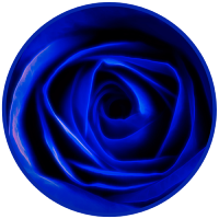 resized12 (1)