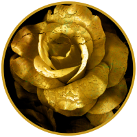 resized12