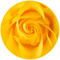 resized3