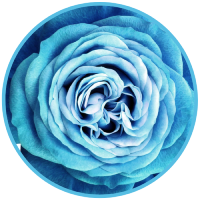 resized5