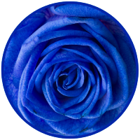 resized6