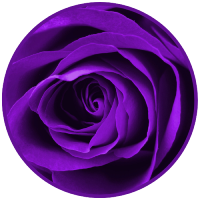 resized7